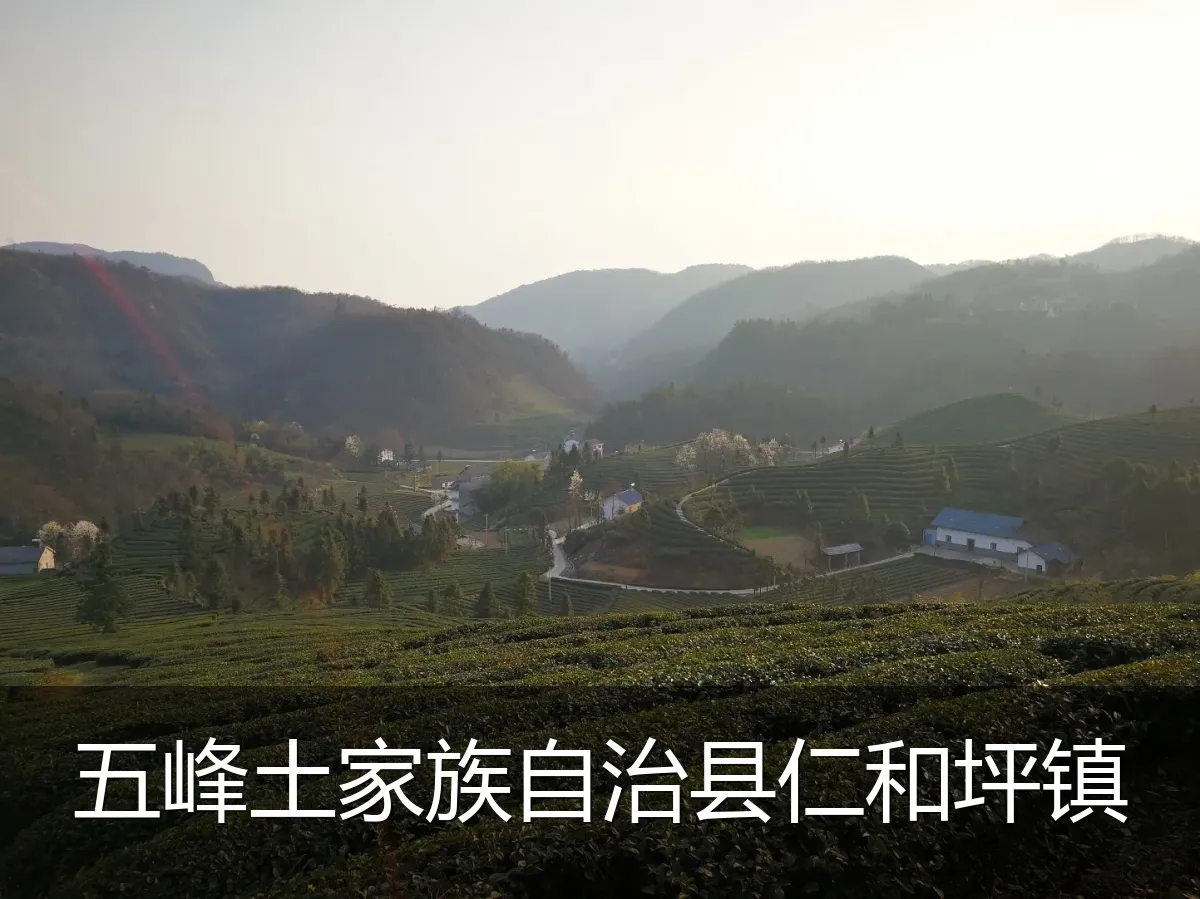 五峰土家族自治县仁和坪镇